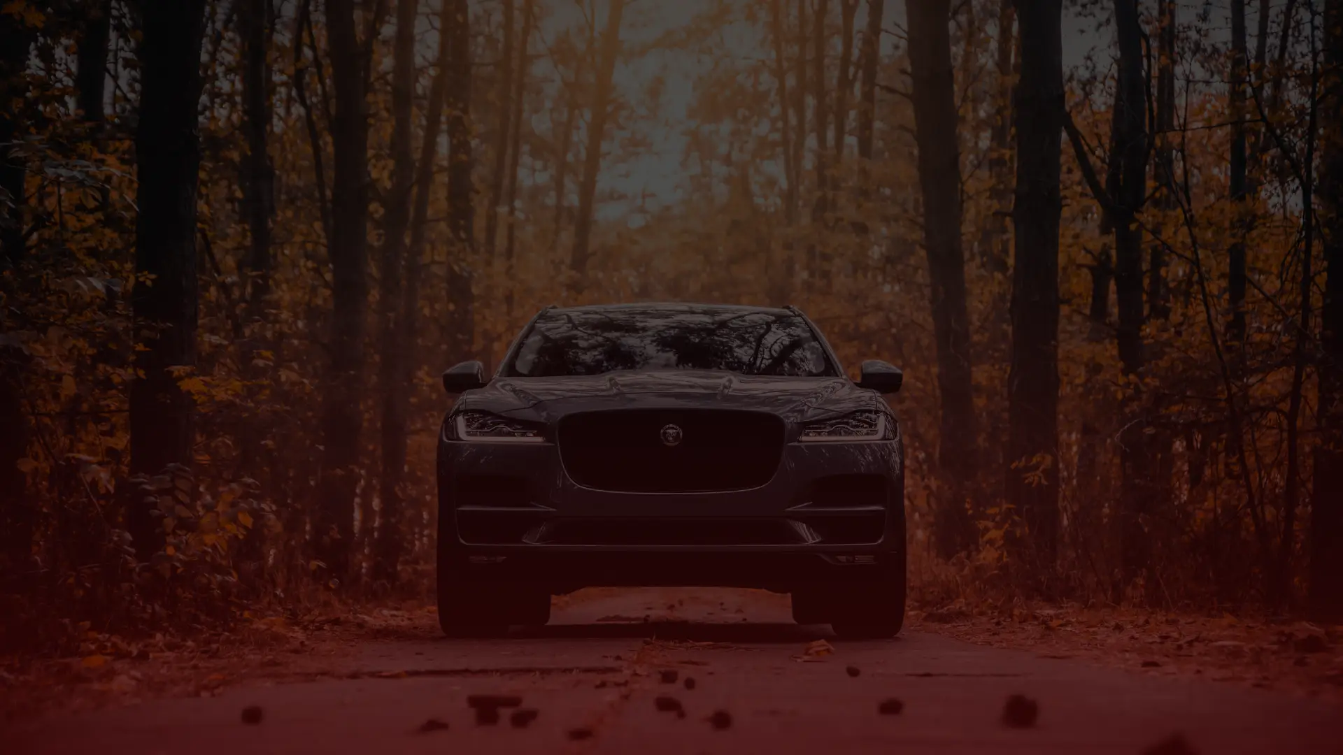 A sleek black Jaguar is parked on a forest road, surrounded by autumn foliage. The dim lighting creates a moody atmosphere, reminiscent of the expert touch youd expect at Bloor West Auto, where every Jaguar repair meets perfection amidst natures art. Euro Mechanic | Bloor West Auto Repair Mechanics | Top Reviewed Auto Repair Shop in Mississauga | Visit bloorwestauto.ca