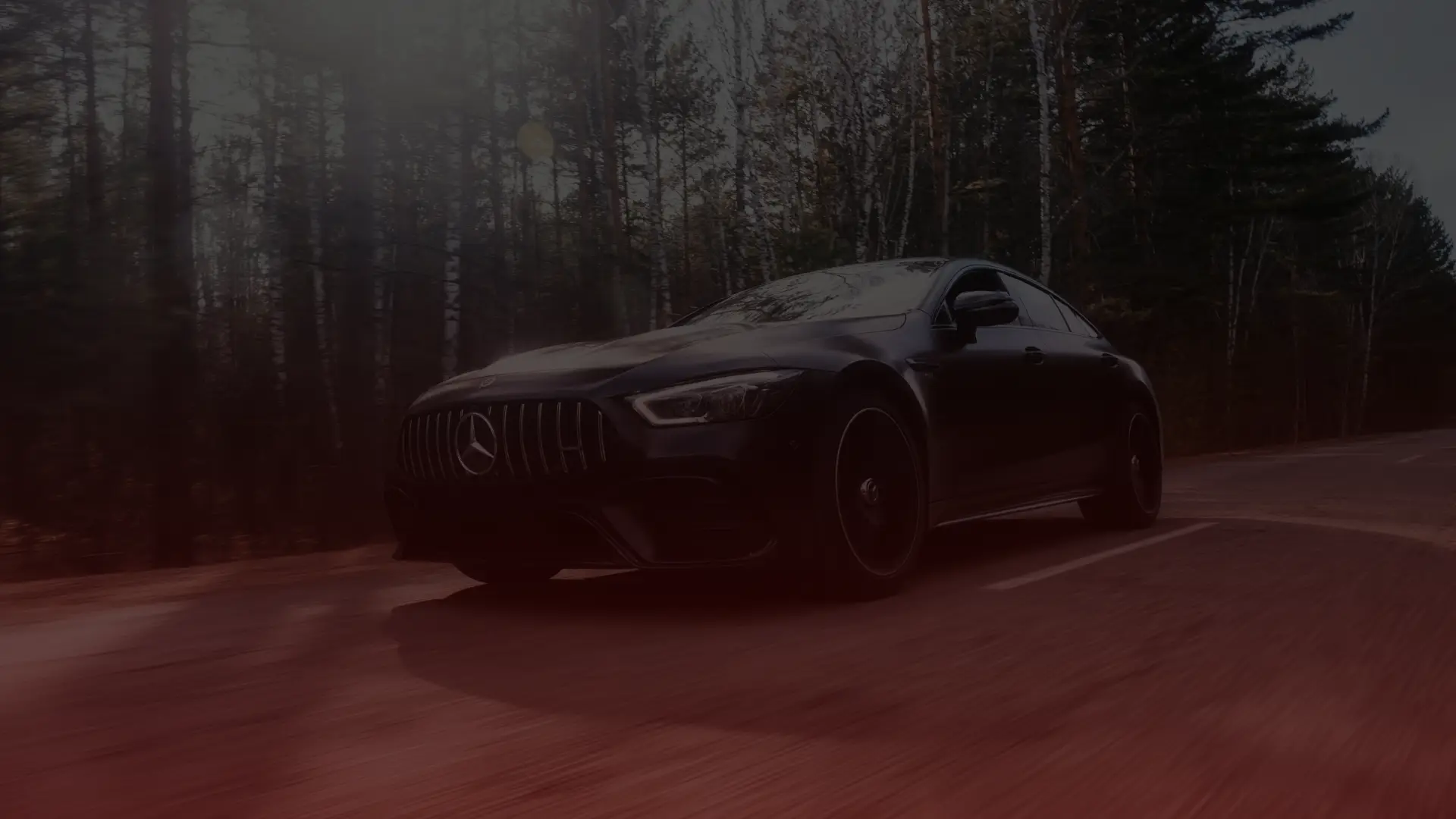 A sleek, black sports car glides down a forest road near Mississauga, surrounded by tall trees. Captured mid-motion, the light casts a dramatic effect on its shiny surface. Thanks to expert Mercedes repair from Bloor West Auto, the road is clear and the scene serene. Euro Mechanic | Bloor West Auto Repair Mechanics | Top Reviewed Auto Repair Shop in Mississauga | Visit bloorwestauto.ca