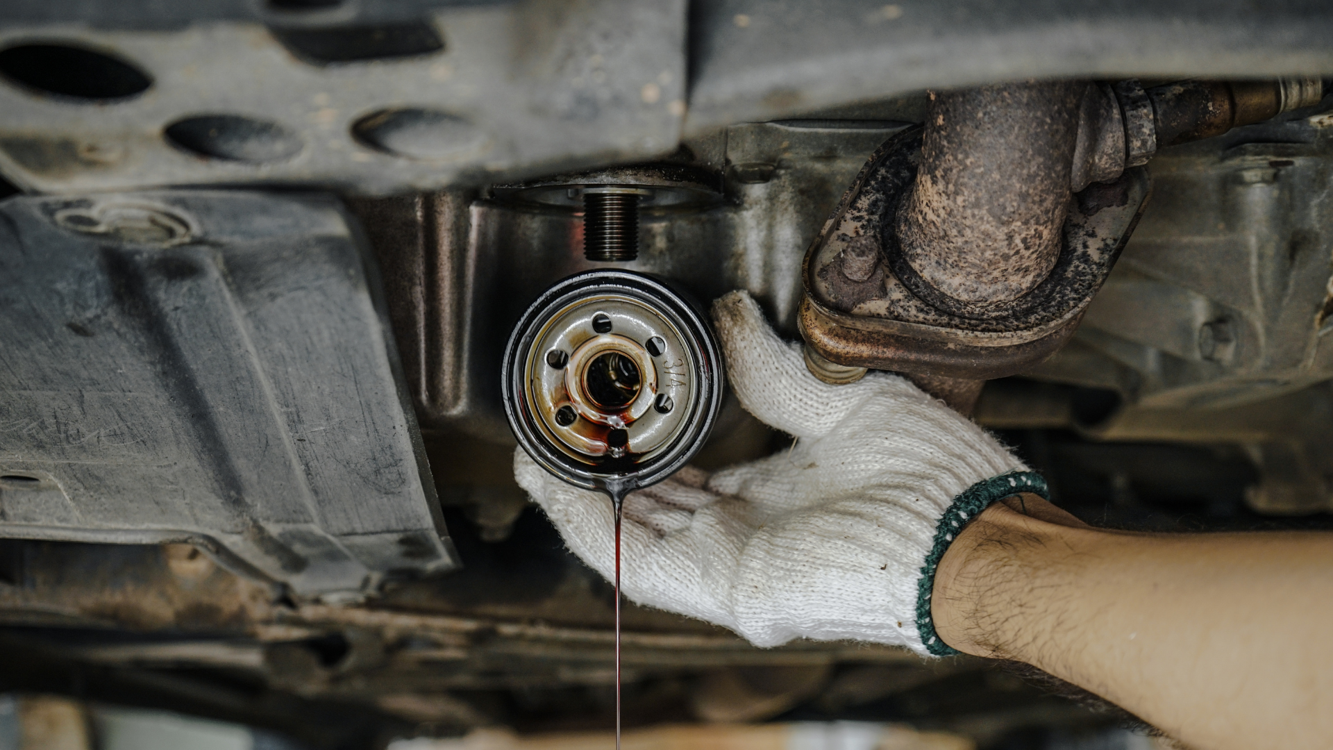 A person wearing white work gloves is removing an oil filter from beneath a vehicle. The oil filter is partially unscrewed, with dark oil dripping from it, indicating an oil change process underway. EuroMechanic - Bloor West Auto | Top Reviewed Auto Repair Shop in Mississauga | Visit EuroMechanic - Bloor West Auto