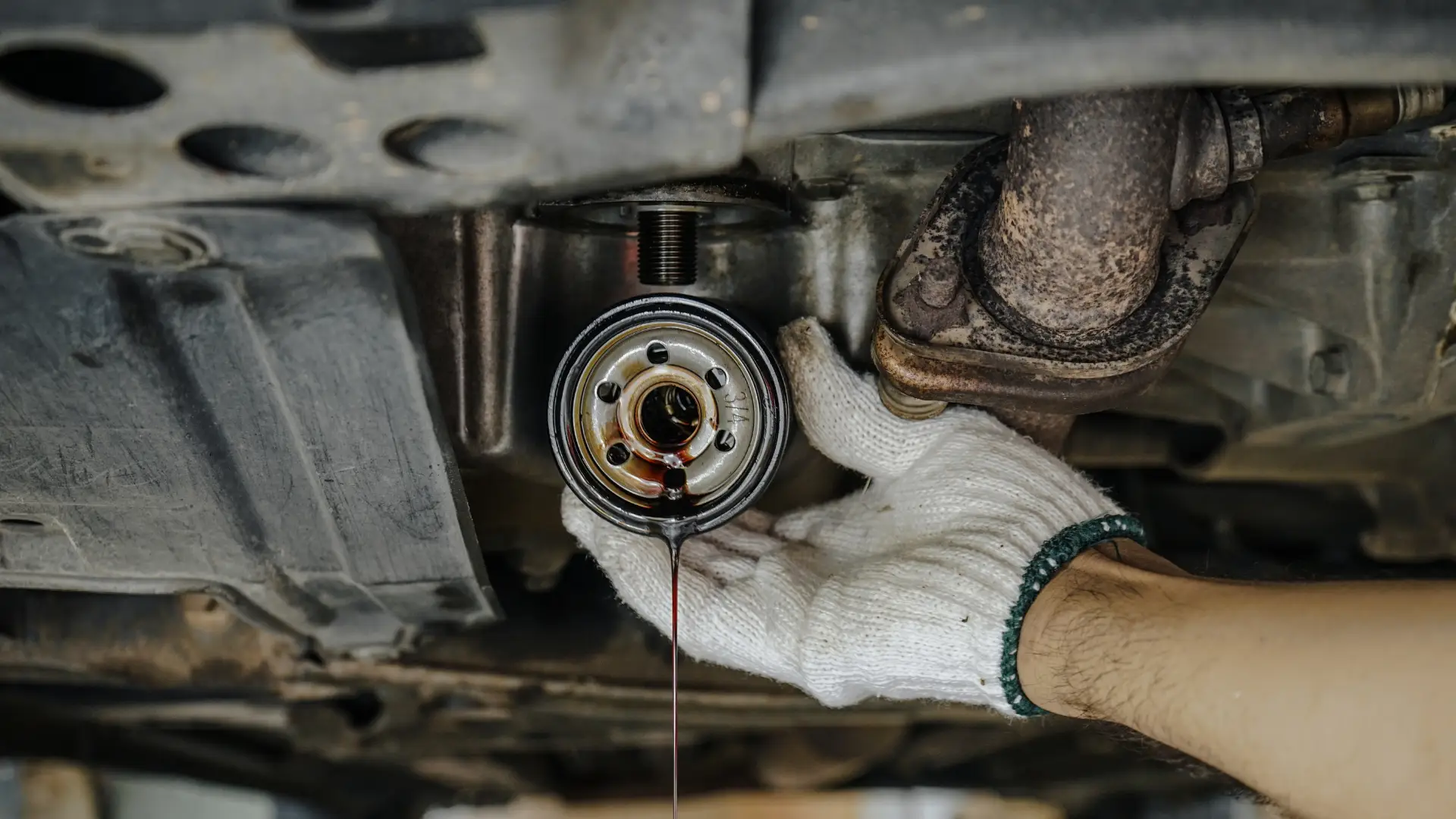 A person wearing white work gloves is removing an oil filter from beneath a vehicle. The oil filter is partially unscrewed, with dark oil dripping from it, indicating an oil change process underway. EuroMechanic - Bloor West Auto | Top Reviewed Auto Repair Shop in Mississauga | Visit EuroMechanic - Bloor West Auto